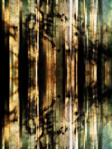 Abstrakte Waldschatten von Angelo Cerantola