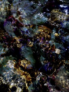 Tiefe Wasserreflexionen von Angelo Cerantola