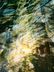 Träumerisches Waldlicht von Angelo Cerantola