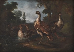 Landschaft mit Vögeln