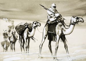 Kamele überqueren die Wüste von Angus McBride