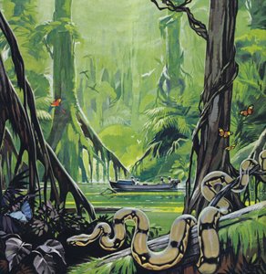 Erkundung des Amazonas