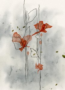 Zarte Mohnblumenblüte von Ankie Kooi