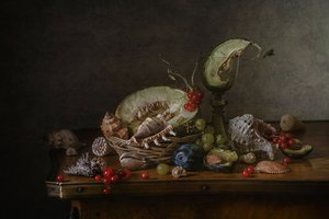 Vintage Früchte und Muscheln von Anna Petina