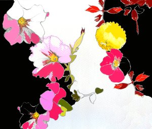 Chinagarten