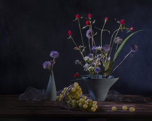  von Anna Qu