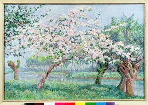 Apfelblüte am Flussufer