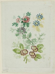 Blumen von Anne Allen