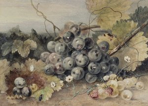 Trauben und Erdbeeren