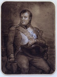 Napoleon I. in Saint-Cloud, 1812 von Anne Louis Girodet de Roucy Trioson
