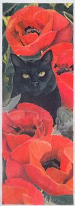 Schwarze Katze mit Mohnblumen