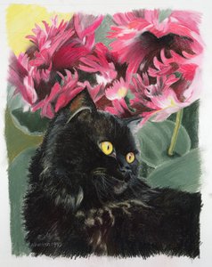 Schwarze Tulpen