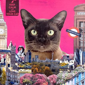Stadtkatze