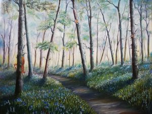 Blaue Glockenblumen-Waldweg