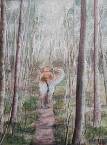 Waldspaziergang des Hundes