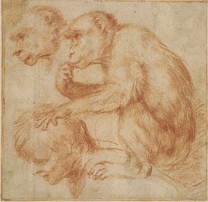 Carracci - Ein Affe auf den Schultern eines Mannes im Profil nach links und eine Studie seines Gesichts, Studie für ein Gemälde Rote Kreide, Ff,2.115