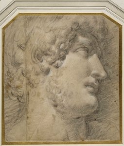 Kopf des Kaisers Gallienus (oder Hadrian), nach der Antike von Annibale Carracci