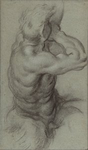 Studie eines Tritons, der in ein Tritonshorn bläst (Vorderseite); Teilstudie eines Arms (Rückseite) von Annibale Carracci
