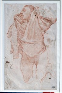 Junger Junge zieht sein Hemd aus von Annibale Carracci