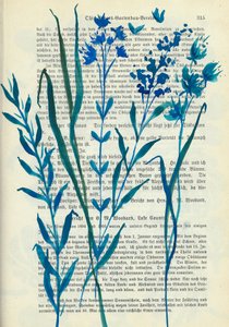 Blaue Blumen Alter Text von Annick