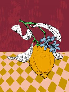 Zitronenblüte Stillleben