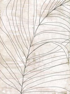 Minimalistische botanische Linien von Annick