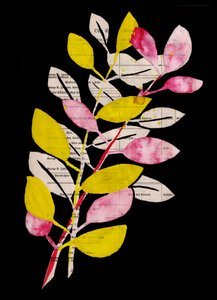 Rosa Gelbe Botanische Collage von Annick