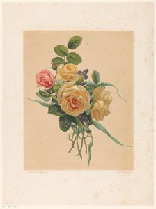 Strauß Rosen und Veilchen