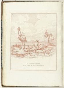 Komitee der Hohen, Niederen und Mittleren Herrlichkeiten, 1795