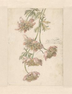 Drei Zweige mit Blumen