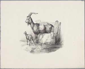 Eine Ziege, ein Bock und ein Lamm von Anonymous