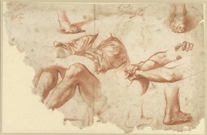 Fragment eines Studienblatts mit Armen, Beinen, Füßen