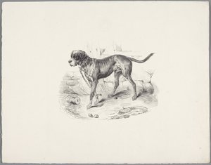 Hund an einer Kette von Anonymous