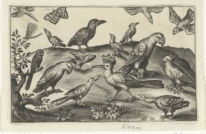 Hopfen und andere Vögel von Anonymous