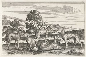 Jagdhunde von Anonymous