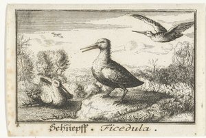 Landschaft mit drei Schnepfen von Anonymous