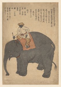 Elefant, gebracht von einem niederländischen Schiff im Jahr 1813 von Anonymous