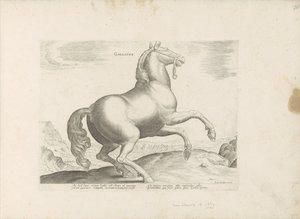Pferd aus Frankreich (Pferderassen aus den königlichen Ställen von Don Juan von Österreich) von Anonymous