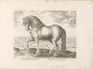 Pferd aus Friesland von Anonymous