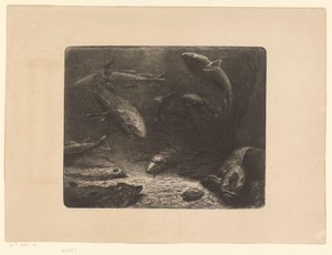 Hecht, Rochen, Plattfisch, Krabbe, Aal und andere Fische