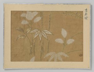 Textilfragment