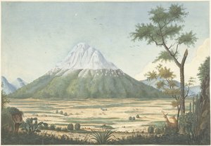 Tropische Landschaft mit Bergen