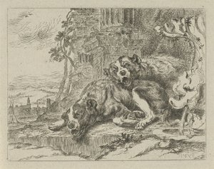 Zwei liegende Hunde