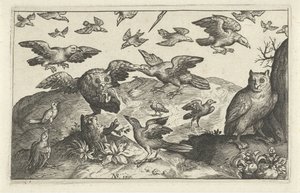 Eule mit Beute von anderen Vögeln angegriffen