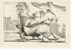 Falke greift eine Gruppe Hühner mit Küken an