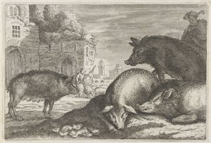 Schweine
