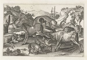 Kämpfende Tiere