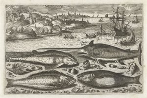 Vier Fische am Strand (Serie: Fische, Piscivm vivae icones)