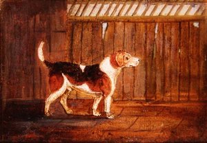 Ein Hund