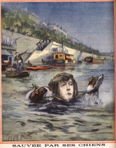 Eine Frau fällt in die Seine und wird von ihren Hunden in Paris gerettet. Gravur in "Le petit parisien" vom 14.08.1910. Private Sammlung.